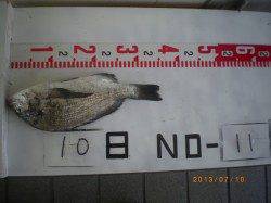 姫路市立遊漁センター★ウキ釣りでチヌ★