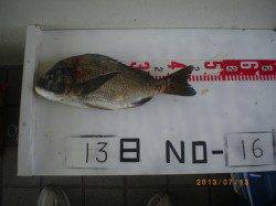 姫路市立遊漁センター　ガシラ・アジ・チヌなどで魚種豊富