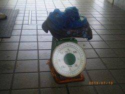 姫路市立遊漁センター　ガシラ・アジ・チヌなどで魚種豊富