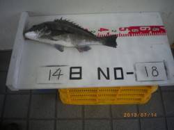 姫路市立遊漁センター　ガシラ・アジ・キスな…