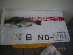 姫路市立遊漁センター22日の釣果〜チヌ43cm！〜