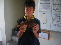 姫路市立遊漁センター、釣り少年25cmの大物ガシラ！