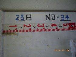 姫路市立遊魚センター　コノシロ・キスなど