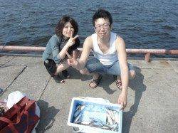 【アジ・タコ・サヨリ】鳴尾浜RT！