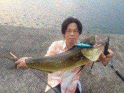 小浦一文字のシイラ！