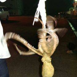 え？初体験！？