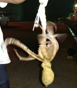 え？初体験！？