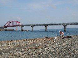 最近数が減っている？ “シマイサギ”【中本嗣通氏連載記事No.17】