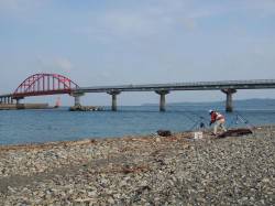 最近数が減っている？ “シマイサギ”【中本嗣通氏連載記事No.17】