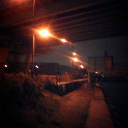 夜の8時から、舞洲周辺でタコ調査スタート！