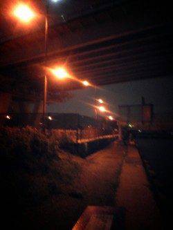 夜の8時から、舞洲周辺でタコ調査スタート！