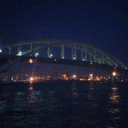 舞洲　タゴエギ使用でマダコ300g1パイ＆新子7ハイ