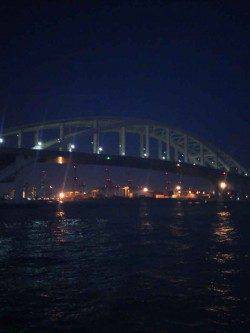 舞洲　タゴエギ使用でマダコ300g1パイ＆新子7ハイ