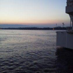 ☆タコブーム到来中☆舞洲でのタコエギ！