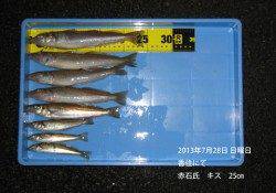 香住でキス25㎝！