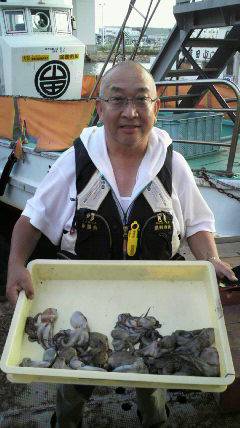 【蛸・タコ・たこ】岸和田でタコ大漁中！