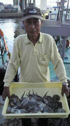 岸和田・タコはまだまだ釣れています！