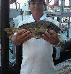 沖一文字スリット　落とし込みでチヌをキャッチ！