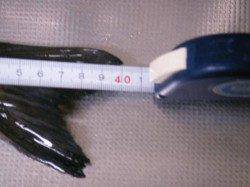 樽井漁港、フカセでチヌの釣果