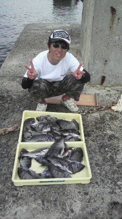 紀州釣りでチヌの数釣り♪ 24匹釣れました…