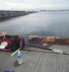 汐見埠頭昼過ぎからの紀州釣りでチヌＧＥＴ！