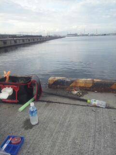 汐見埠頭昼過ぎからの紀州釣りでチヌＧＥＴ！