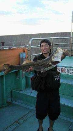 沖一文字白灯　ルアーシーバス好調☆