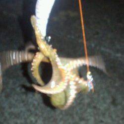 貝塚　ナイトオクトパッシングでタコ3バイ