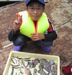 岸和田一文字、アジとタコの釣果