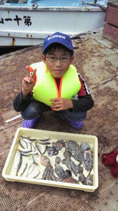 岸和田一文字、アジとタコの釣果