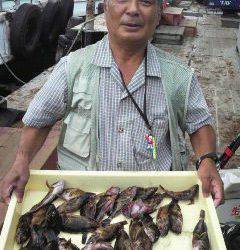 旧一文字赤灯、20cmまでのガシラが好調でした！