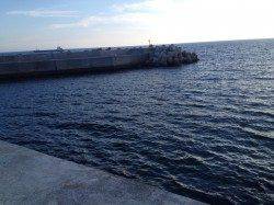 加太・磯ノ浦でチョイ投げを！