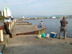 今日も食コン豆アジ爆釣でらんらんるー☆ミ