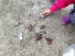 【風にも負けず】昼間の南芦屋浜