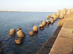 和歌川河口　ルアーでマゴチ狙いもチヌがヒット