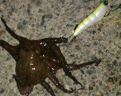 え？初体験！？