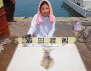 黒島の磯・筏で納得サイズのアオリイカ