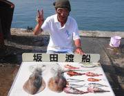 黒島の筏でアオリ☆5打数2安打でした