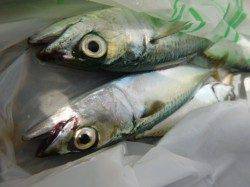 小野浜　家族で車横付けだ