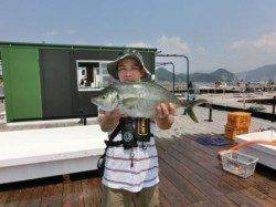 釣堀紀州でシマアジ祭り!?