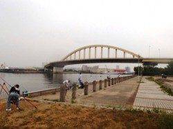 今朝もアジ順調です☆ 泉大津RT29日あさ