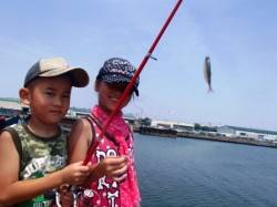 なぎさでも小アジ♪豆アジ♪泉大津RT22日…