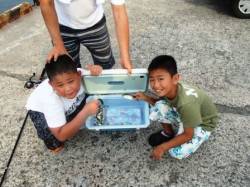 豆アジに小アジ好調中！泉大津RT！夕方