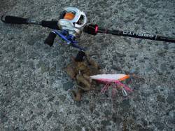 岸和田一文字のオクトパッシング絶好調！！