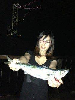 アジュールの大サバまだ釣れてますよ！！