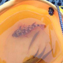 とっとパーク小島　雨宿りをしながらガシラ＆アジ