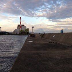 大阪南港、短時間オクトパッシング