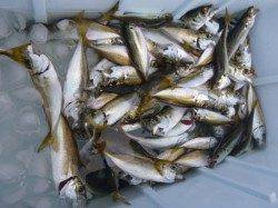 兵突ＲＴ　タコ１４ハイ！！