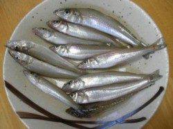 夏の早朝はキスでキマリ！