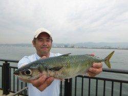 神戸空港 大サバ出ました!!